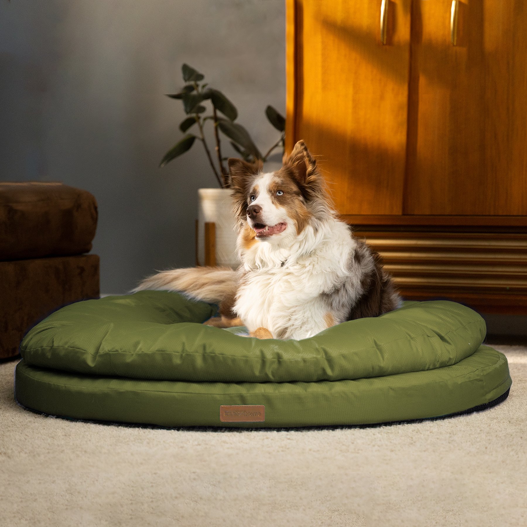 ClevaHome Orthopedic Dual Layer Water Repellent Round Non-Slip Bottom Comfortable Machine Washable Cover Bolster Dog & Cat Bed, Medium: 36 x 36 x 7-in, Olive Branch