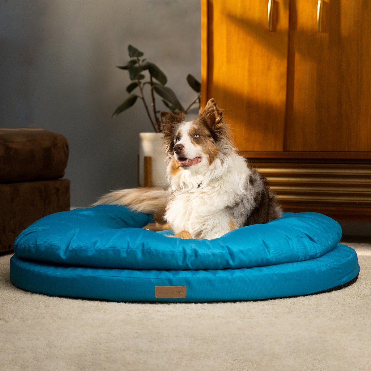 ClevaHome Orthopedic Dual Layer Water Repellent Round Non-Slip Bottom Comfortable Machine Washable Cover Bolster Dog & Cat Bed, Large: 42 x 42 x 8-in, Mosaic Blue