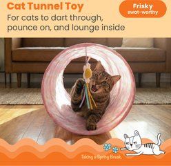 Catstages Indoor Collapsible Hide & Play Tube Tunnel Cat Toy with Plush Catnip Toy, Pink Daisy slide 2 of 6