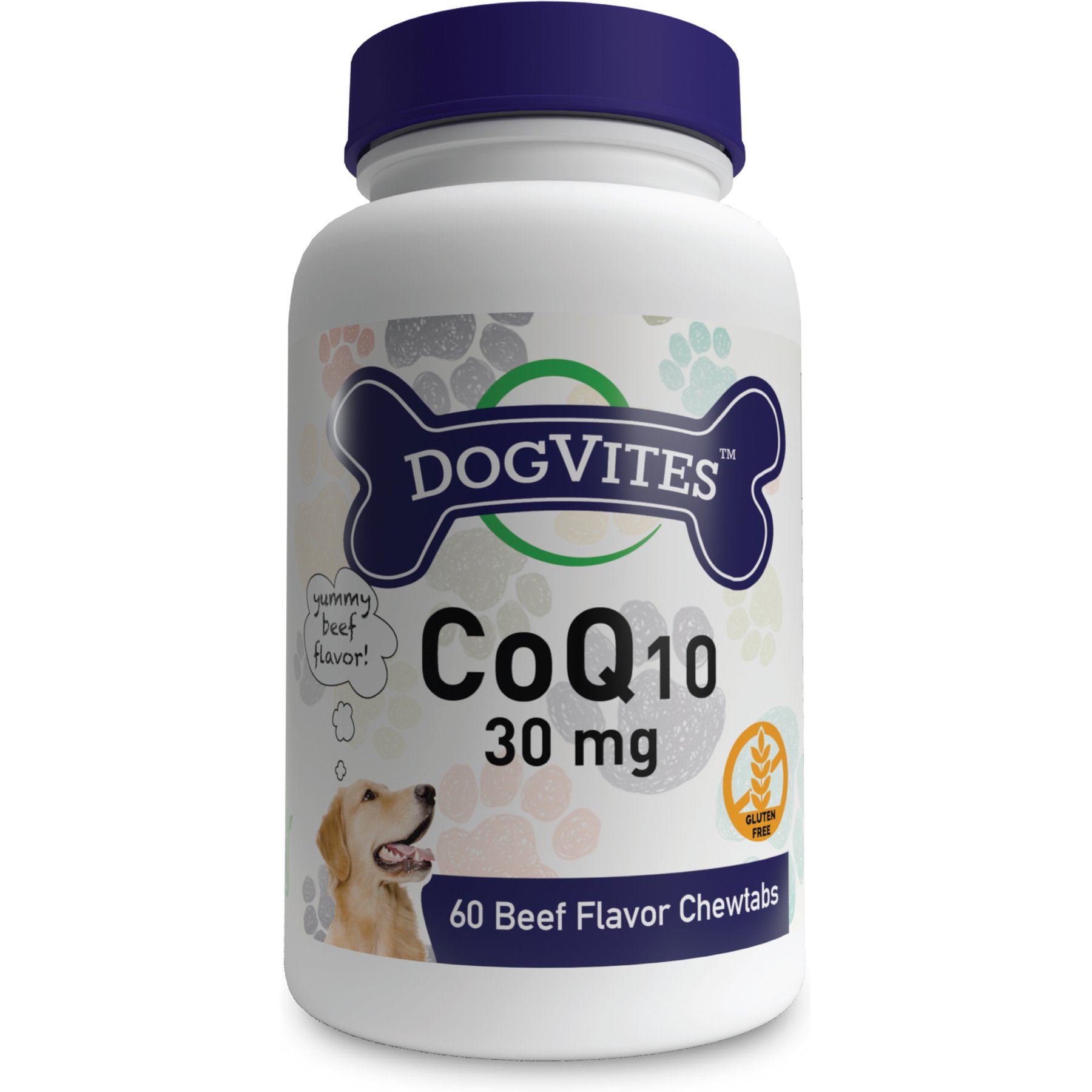 Dog-Vites by HTN CoQ10 Heart Care Beef Flavored Chewable Tablet Supplement for Dogs, 30 mg, 60 count