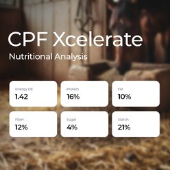 Core Performance Feeds Xcelerate Horse Feed, 44.1-lb slide 2 of 5