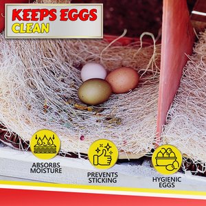 My Favorite Chicken Excelsior Chicken Nest Pads