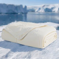 Bedsure Thin Lightweight Cooling Dog & Cat Blanket, Beige, Large slide 1 of 7