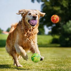 allforpaws Meta Swirly Ball Dog Toy, Multi-Color, 2.5 x 2.5 x 2.5-in, 3 count slide 2 of 7