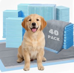 Fluffy Dream 6-Layer Ultra Charcoal Super Absorbent, Waterproof & Leak-Proof Unscented Dog Training Pads, Large: 23 x 23-in
