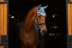 LeMieux Classic Horse Fly Hood, Ice Blue, X-Large slide 2 of 3