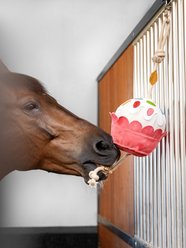 LeMieux Cupcake Horse Toy slide 2 of 3