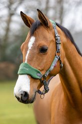 LeMieux Vogue Horse Head Collar & Lead Rope, Hunter Green, Pony