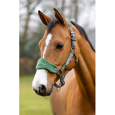 LeMieux LeMieux Vogue Horse Head Collar & Lead Rope, Hunter Green, X-Full