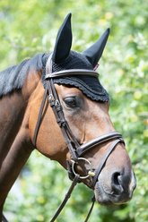 LeMieux Diamante Acoustic Horse Fly Hood, Black, Large slide 2 of 2