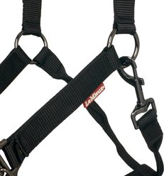 LeMieux ProSafe Horse Head Collar, Black, Pony slide 2 of 5