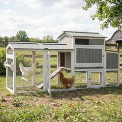 Petscosset Run Weatherproof Mobile Chicken Coop House with Wheels & Nesting Box Flock Size Large Capacity, 82.7 x 25.6 x 39.4-in, Gray
