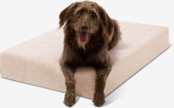 Big Barker 7-in Sleek Orthopedic Pillow Dog Bed with Removable Cover, Driftwood Linen, Large