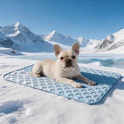 Invenho Cooling Dog Crate Mat with Anti-Slip Bottom, Blue, Medium: 28-in