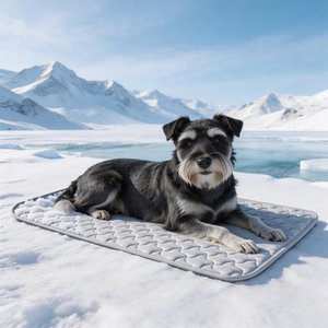 Invenho Cooling Dog Crate Mat with Anti-Slip Bottom, Grey, Large: 36-in