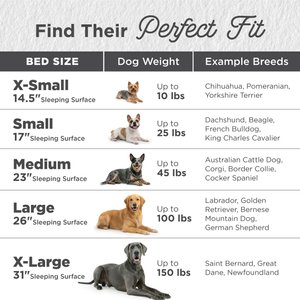 Best Friends by Sheri The Original Calming Shag Fur Donut Cuddler Cat & Dog Bed, Taupe, Small