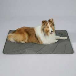 Allisandro Waterproof Cool-Touch Dog Crate Mat, 38 x 29-in, Grey