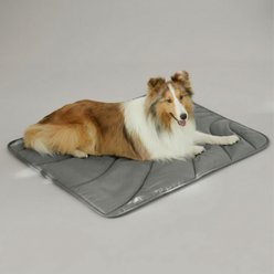 Allisandro Portable Outdoor Travel Dog Mat Lightweight Water Resistant Foldable Pet Mat with Carrying Bag, 38 x 29-in, Grey slide 2 of 9