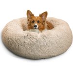 Best Dog Beds for French Bulldogs
