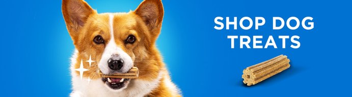 SHOP DOG TREATS