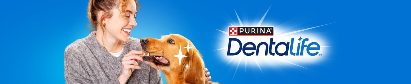Purina Dentalife