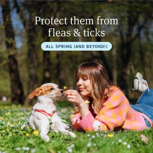 PetArmor Plus Flea & Tick Spot Treatment for Dogs, 45-88 lbs, 6 Doses (6-mos. supply)