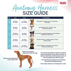 Halti Anatomy Reflective Dog Harness, Magenta, Large: 23.5 to 33.5-in chest slide 2 of 6