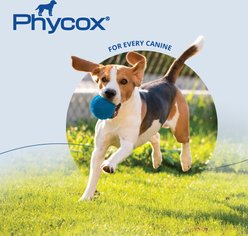 Phycox HypoAllergenic HA Small Bites Soft Chews Joint Supplement for Dog, 120 count slide 2 of 9