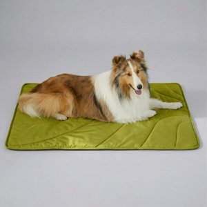 Heeyoo Dog & Cat Heating Pad with Removable Cover, Beige, Small