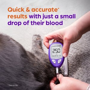 AlphaTRAK 3 Test Strips for Blood Glucose Monitoring System for Cats, Dogs, & Horses, 50 strips