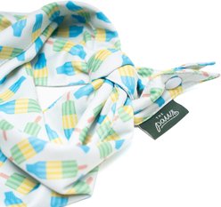 The Paws Limeade Dog & Cat Bandana, Medium slide 2 of 5