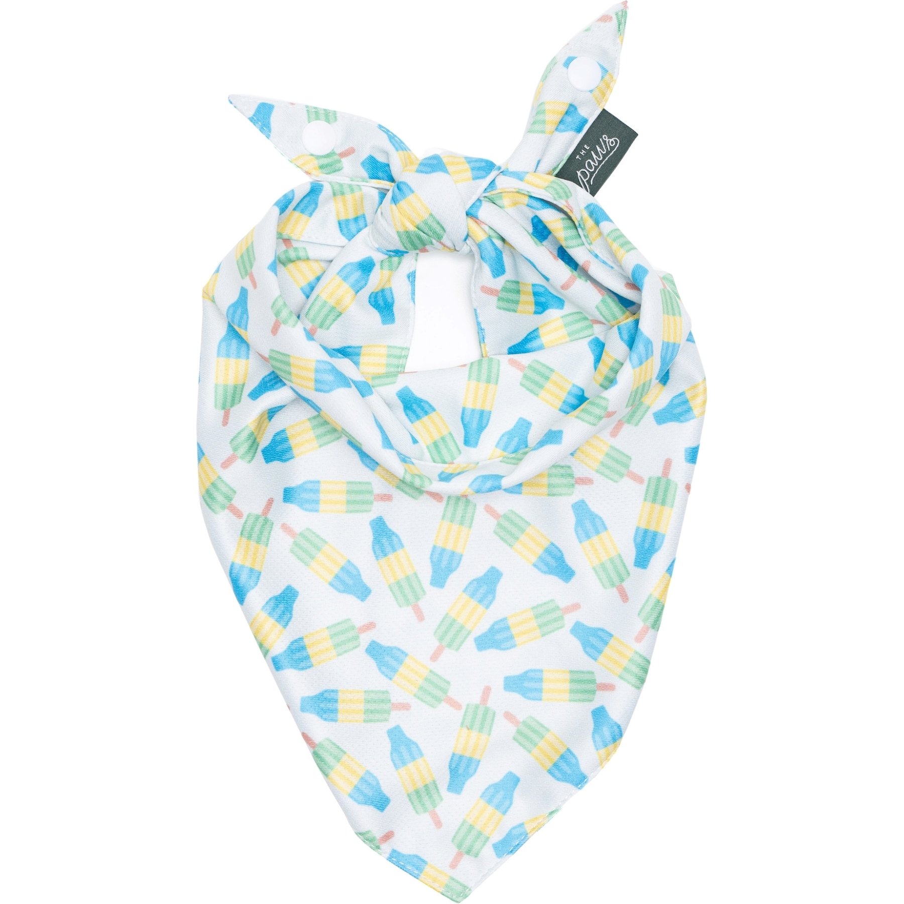 The Paws Limeade Dog & Cat Bandana, Large