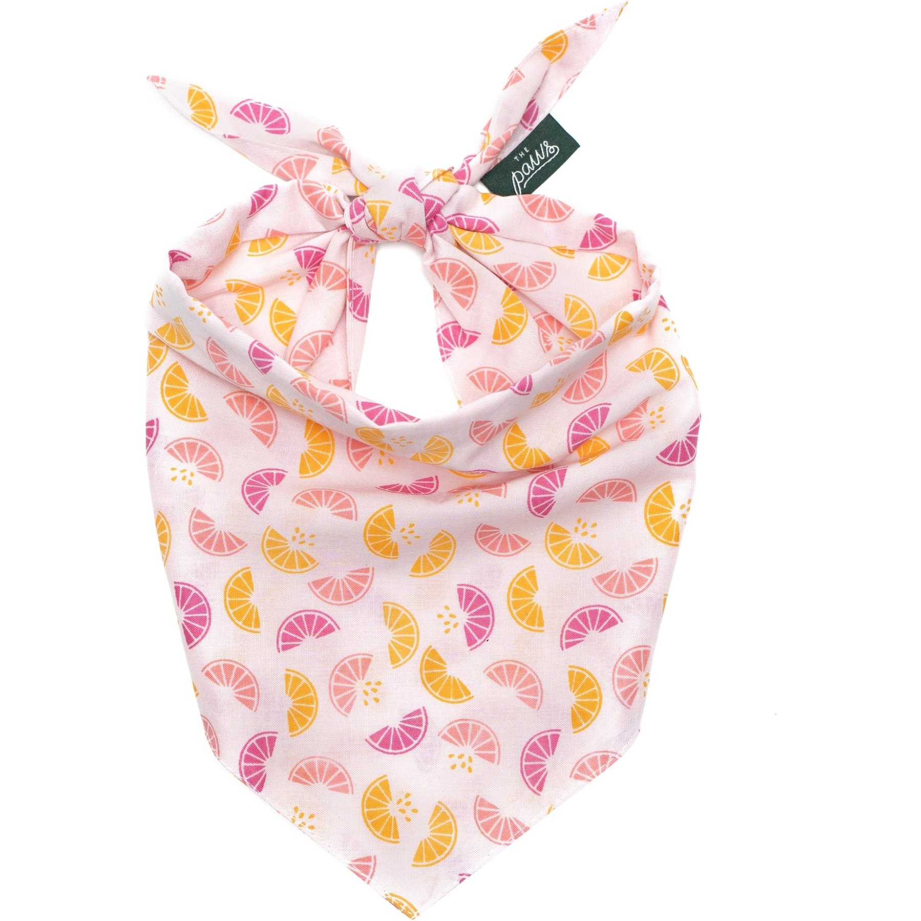 The Paws Squeezed Dog & Cat Bandana, X-Large