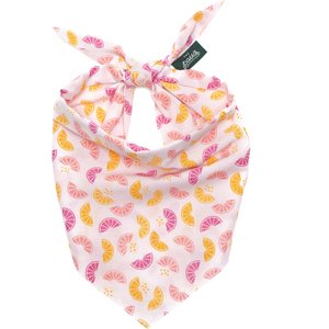 The Paws Squeezed Dog & Cat Bandana, Medium