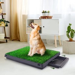 Coziwow by Jaxpety Indoor Grass Potty Dog Pee Turf with Drawer, 20 x 25-in slide 2 of 8