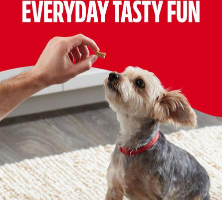 Show full view: Milk-Bone Soft & Chewy Minis Made with Real Chicken Soft & Chewy Dog Treats, 18-oz canister slide 6 of 10