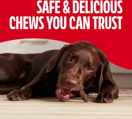 Show full view: Milk-Bone Comfort Chews Real Beef Dog Treats, 16 count slide 6 of 10