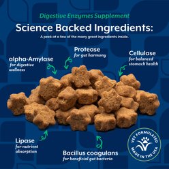 NaturVet Digestive Enzymes Salmon & Bacon Flavored Supplement for Cats, 60 count slide 2 of 7