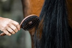 Horseware Mane & Tail Horse Brush, Wood Effect slide 2 of 7
