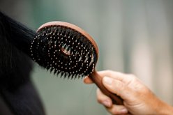 Horseware Mane & Tail Horse Brush, Wood Effect