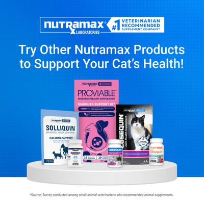 Show full view: Nutramax Cosequin Hip & Joint with Glucosamine & Chondroitin Capsules Joint Supplement for Cats, 80 count slide 10 of 11