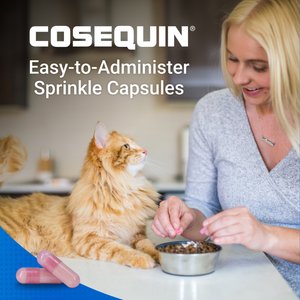 Nutramax Cosequin Hip & Joint with Glucosamine & Chondroitin Capsules Joint Supplement for Cats, 80 count