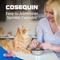 Show in main carousel: Nutramax Cosequin Hip & Joint with Glucosamine & Chondroitin Capsules Joint Supplement for Cats, 80 count slide 6 of 11