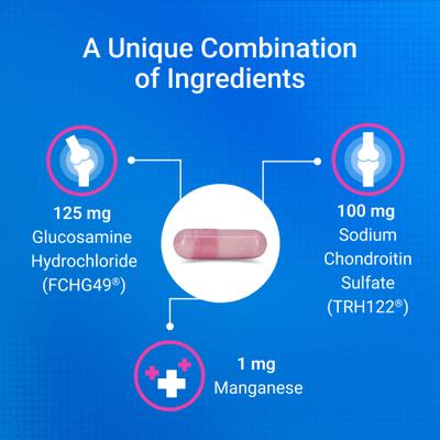 Show full view: Nutramax Cosequin Hip & Joint with Glucosamine & Chondroitin Capsules Joint Supplement for Cats, 80 count slide 7 of 11