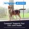 Show in main carousel: Nutramax Cosequin Hip & Joint with Glucosamine & Chondroitin Capsules Joint Supplement for Cats, 30 count slide 4 of 11