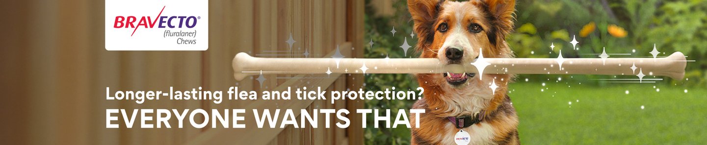 Bravecto (fluralaner) Chews Longer-lasting flea and tick protection? EVERYONE WANTS THAT