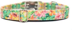 Zaley Designs Tropical Floral Cotton Adjustable Dog Collar, Multicolor, X-Small: 8 to 12-in neck, 5/8-in wide slide 2 of 5