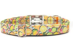 Zaley Designs Citrus Fruit Floral Cotton Adjustable Dog Collar, Multicolor, Small: 10 to 14-in neck, 3/4-in wide slide 2 of 5