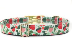 Zaley Designs Mint Strawberry Floral Cotton Adjustable Dog Collar, Small: 10 to 14-in neck, 3/4-in wide slide 2 of 5