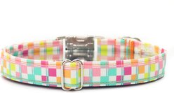 Zaley Designs Neon Checkered Cotton Adjustable Dog Collar, Multicolor, Small: 10 to 14-in neck, 3/4-in wide slide 2 of 5